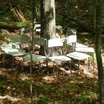 Rest of the Forest, view 2B Rest of the Forest, view 2B