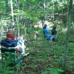 Rest of the Forest, view 3C Rest of the Forest, view 3C